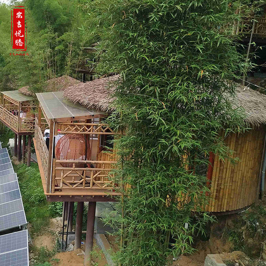 100+ Bamboo Buildings — A Bamboo Forest Wellness Retreat in Chibi, Hubei